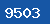 Security-Code